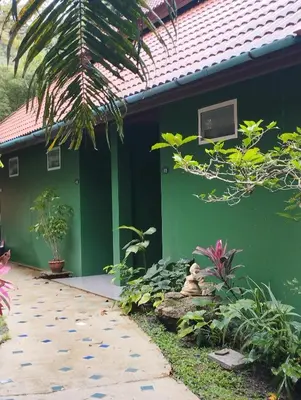 a green house with a palm tree in front of it at Phuket Jungle Experience Resort in Karon Beach