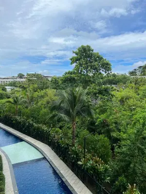 a view of a swimming pool with trees and bushes at Seaside vacation in Rawai Beach