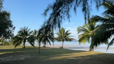 a group of palm trees on the beach at Better View Koh Yao Yai in Ko Yao Yai
