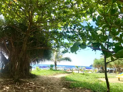 a beach with trees and the ocean in the background at Апартаменты с видом на море на Карон Бич А 509 in Karon Beach