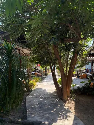 a tree in the middle of a sidewalk at Pyramid Bangalow in Ban Laem Sai