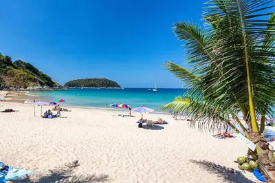 a beach with a palm tree and people on the beach at Exotic Boutique 4BR Pool Villa Toya, Gated Residence, Rawai in Rawai Beach